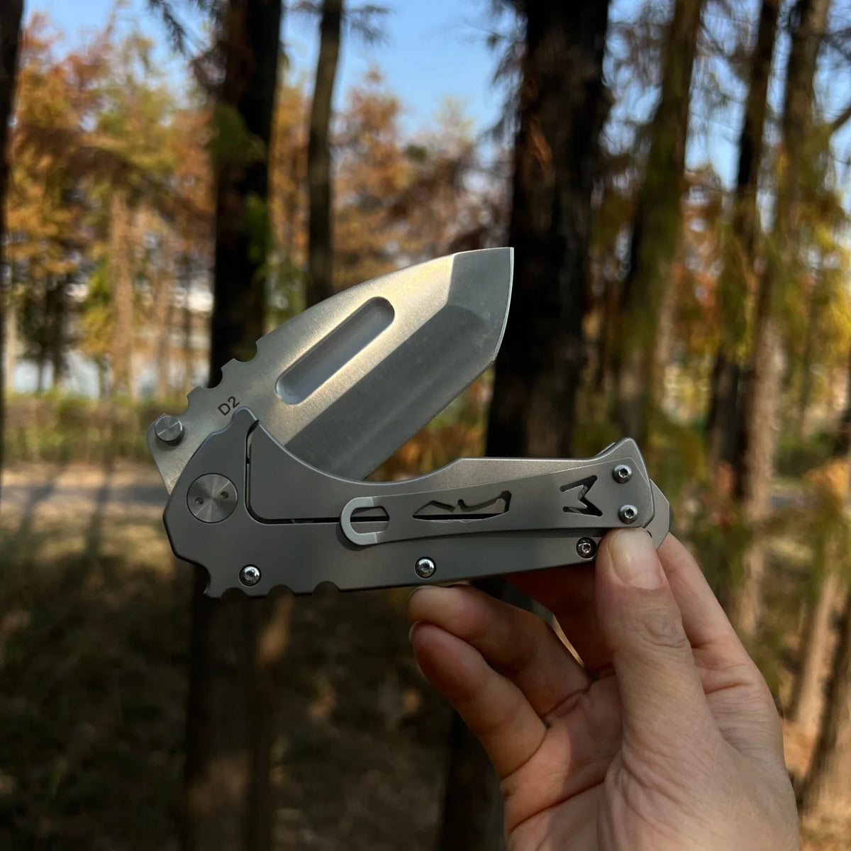 HX Outdoors D2 Steel Folding Knife For Camping And Fishing