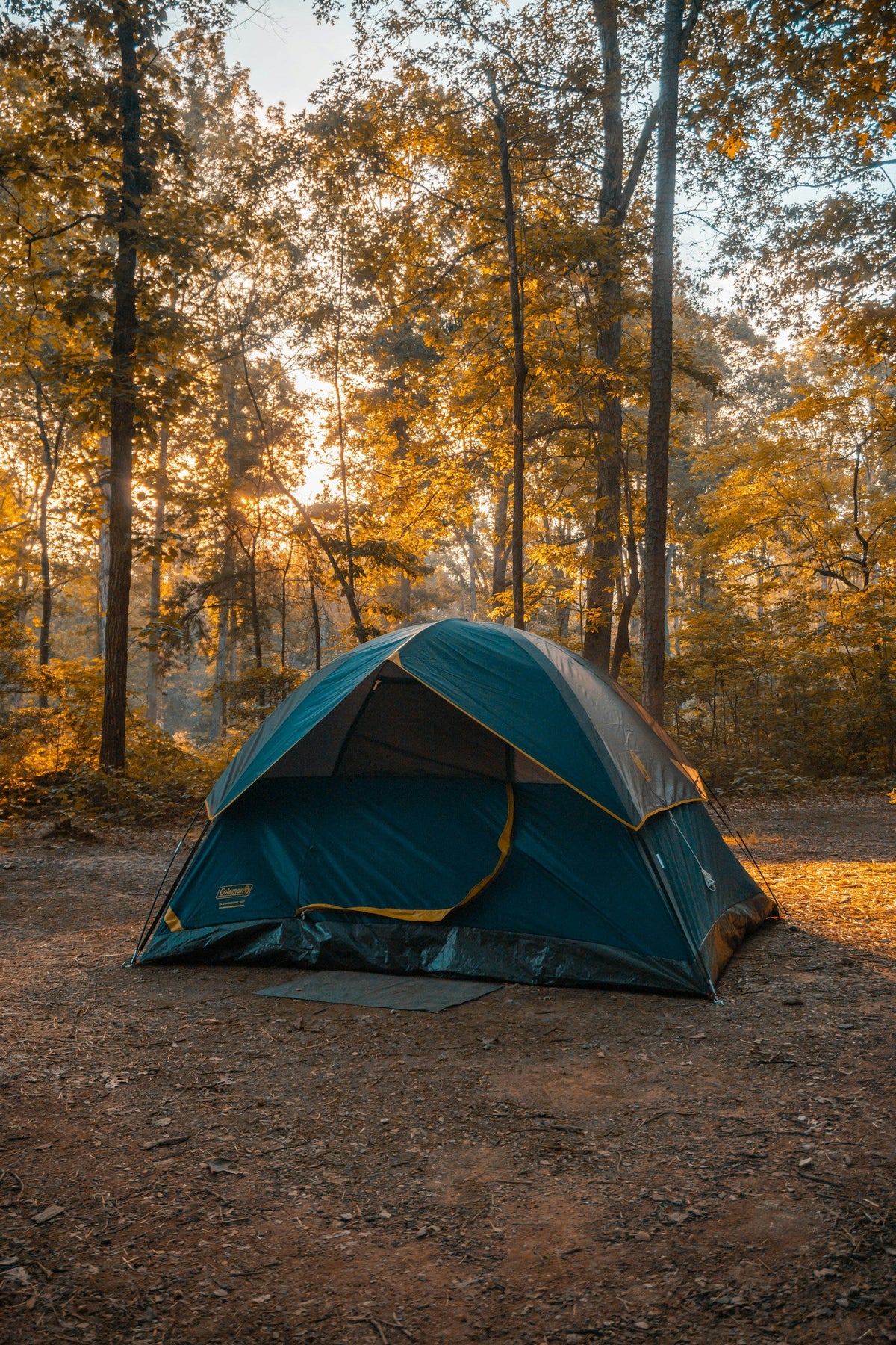 Tents & Shelters